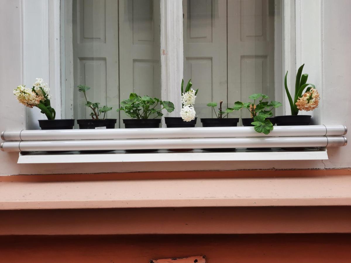 Downtown Prague Minimalistic Room In Flatshare Exterior photo